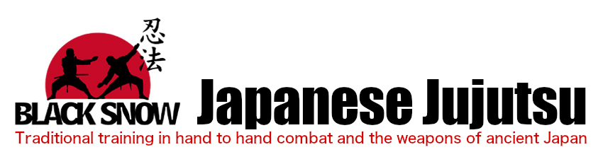 Jujutsu Martial Arts Chichester / Arundel / Bognor Regis / Littlehampton